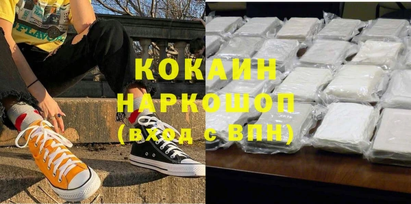 соль ск Няндома