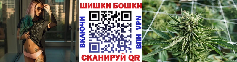дарнет шоп Александровск Бошки марихуана сатива